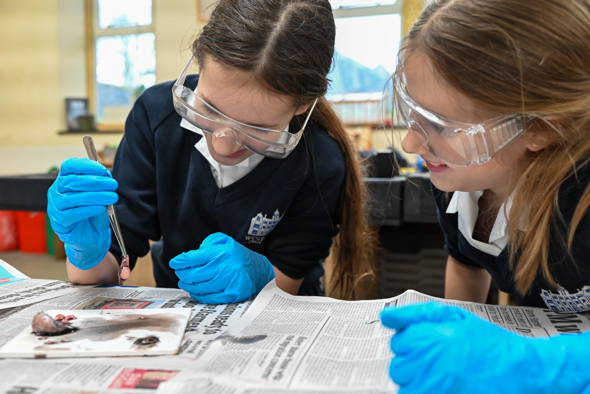 Prep aged girls learning science